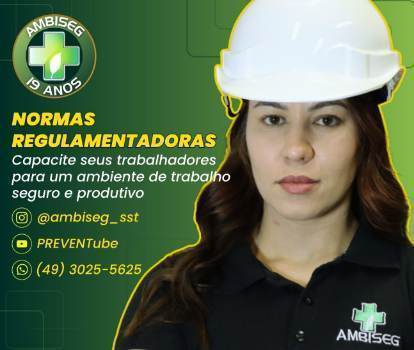 Instrutor%25252520de%25252520normas%25252520regulamentadoras%25252520%2525252812%25252529