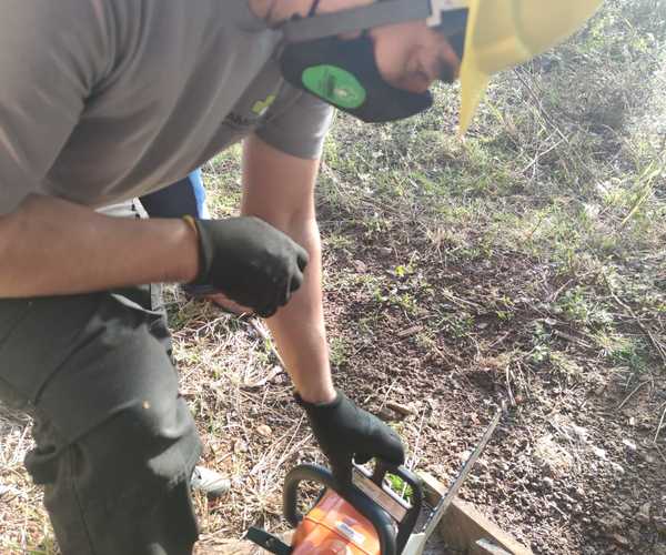 Whatsapp image 2021 05 30 at 21.20.10