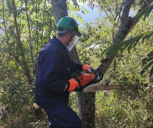 Whatsapp image 2021 05 30 at 21.20.07 %282%29