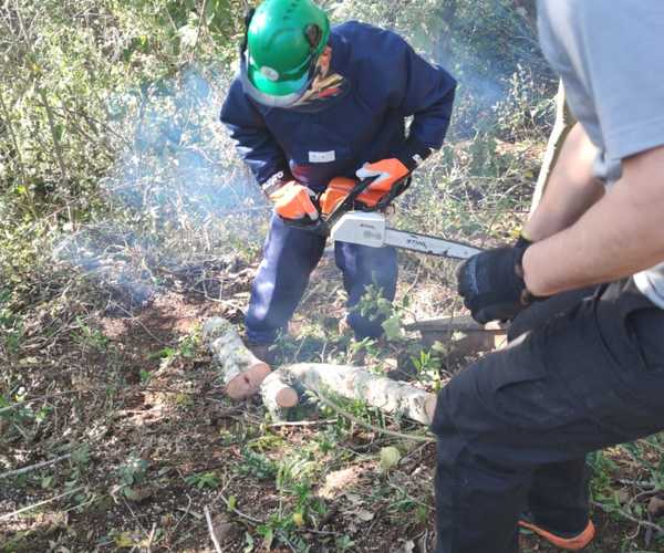 Whatsapp image 2021 05 30 at 21.18.03